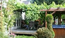 那年绿荫可乘凉