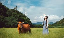 藏在心中的感动