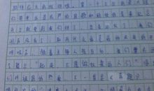 一篇关于快与慢的作文