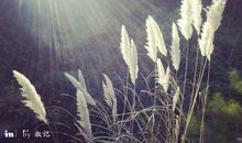 观逆光飞翔有感