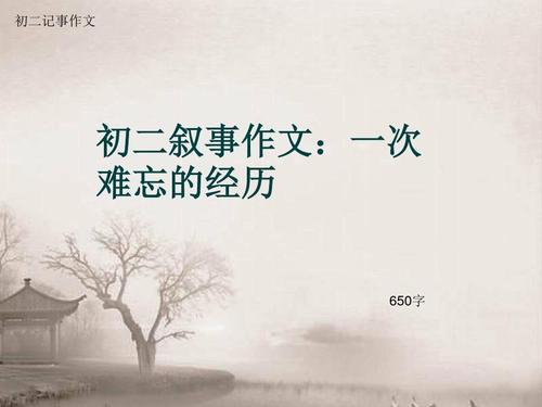 难忘的经历