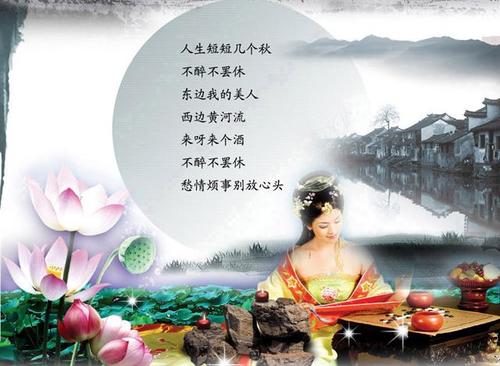 我爱美丽的国家