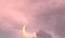 我喜欢的一种颜色