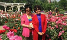 总道花开是寻常