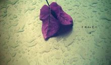 那一滴泪化误解