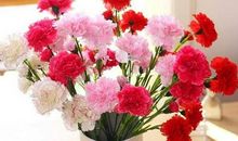 最特别的爱——母爱