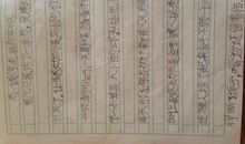 流浪狗时报读后感