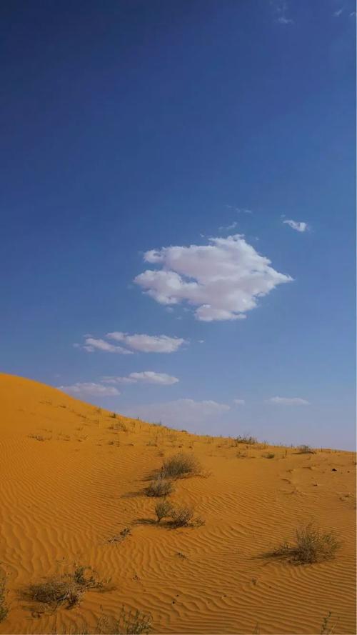 沙漠旅行