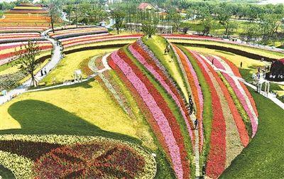 花海公园一日游