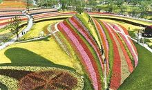 花海公园一日游