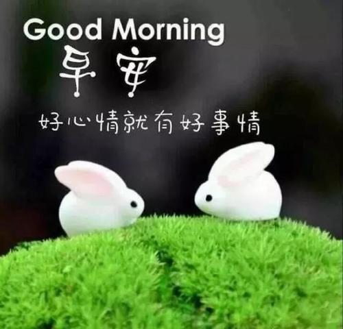 乐观是生活中最美丽的姿势