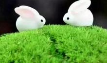 乐观，是一种最美的生活姿态