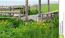 描写凉亭的作文