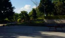 校园的一年四季