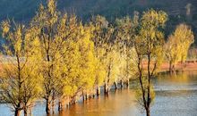 心中最特别的那个人