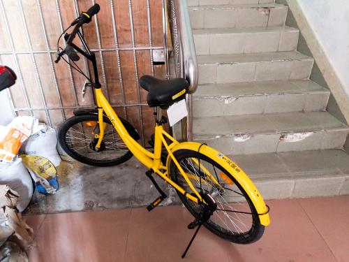 学习骑自行车
