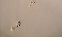 我到海边的那一刻