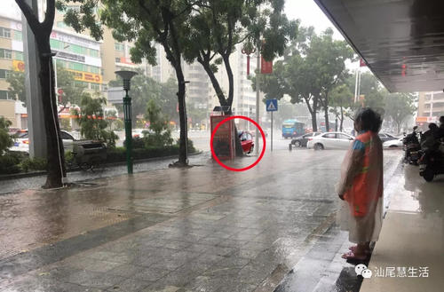 在风雨中的毅力
