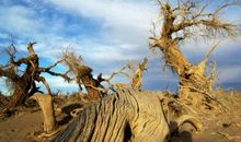 触动心灵的地方