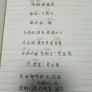 秋天的来信