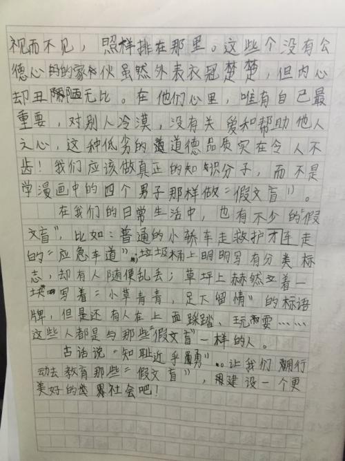 假文盲