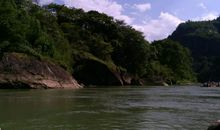 愉快的自然之旅