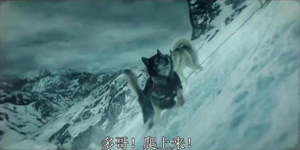 我家的“不速之客”