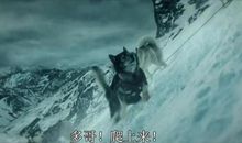 我家的“不速之客”