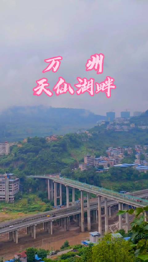 蜗牛走路像飞行的童话故事组成