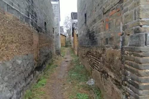 胡同中的一束光