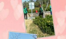 游美丽的庄山公园