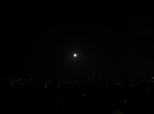 黑暗中最亮的星星
