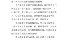 我家的小小动物园作文400字