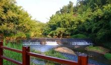 锦江画廊风光无限