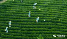 我尝到了下田的甜头