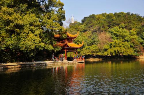 在南郊公园旅行
