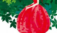 走着走着，花就开了