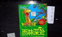 雨林深处读后感