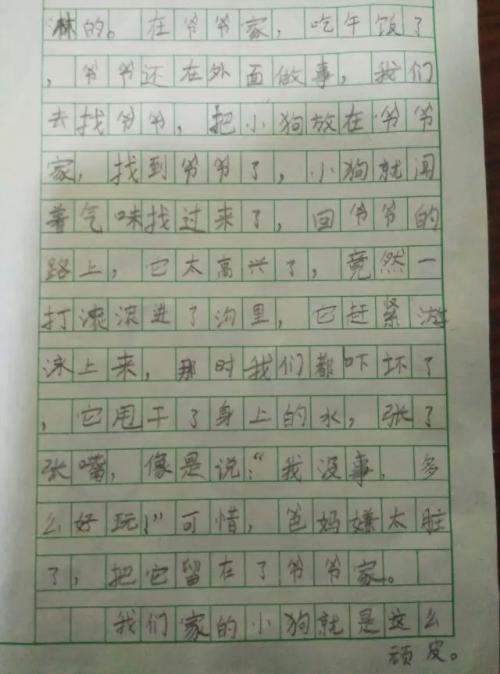 撰写有关动物家族的构图
