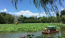 美丽的紫竹院公园