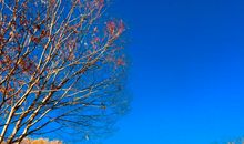 一个不一样的星期日