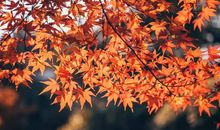 幸福原来就是冬日的一缕阳光