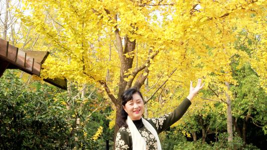 我发现银杏树变黄了