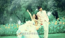 蜻蜓点水的启示