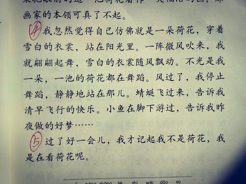 写石榴组成