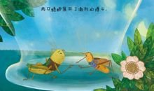 夏夜里的蛐蛐儿声