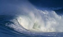 前行只因有浪花朵朵