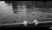 我从来没这么绝望