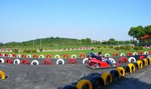 绿光农场一日游——动物比赛