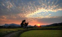 和自然轻轻交谈